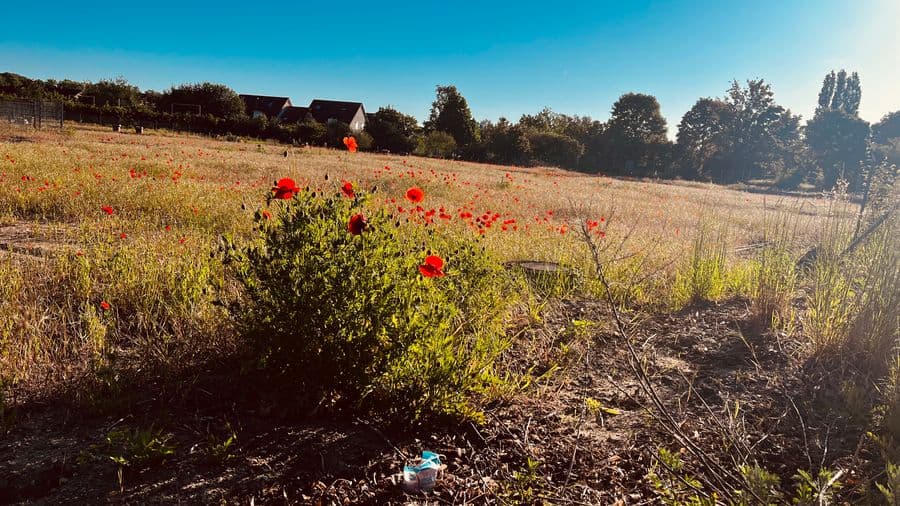 Kaiserwetter und gute Laune