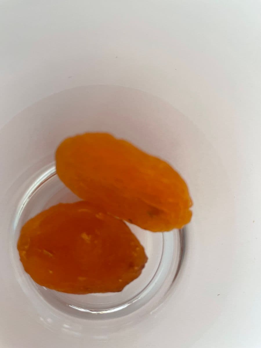 Aprikose aus der Dose
