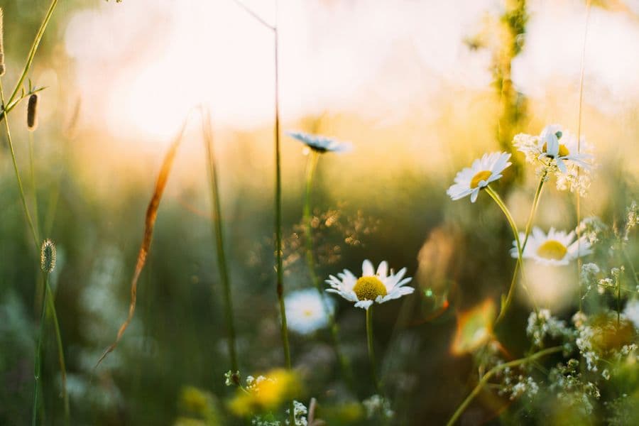 Gartenarbeit am Start