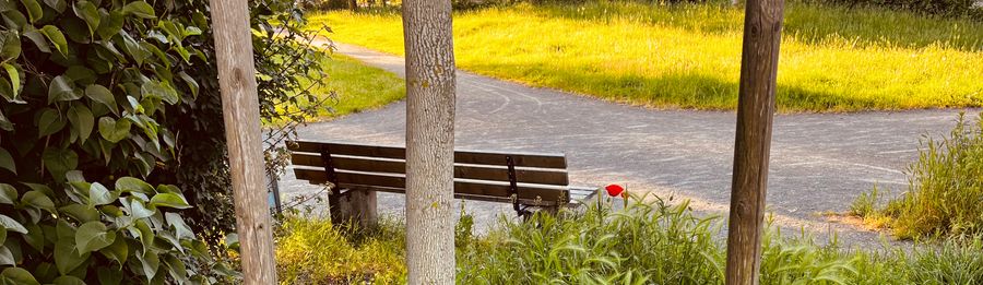 Heute Nacht habe ich wieder Bilder gesehen