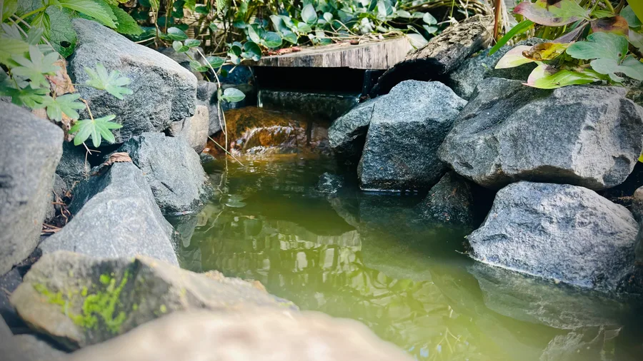 Dieser kleine Bachlauf versorgt unseren Teich 365 Tage im Jahr