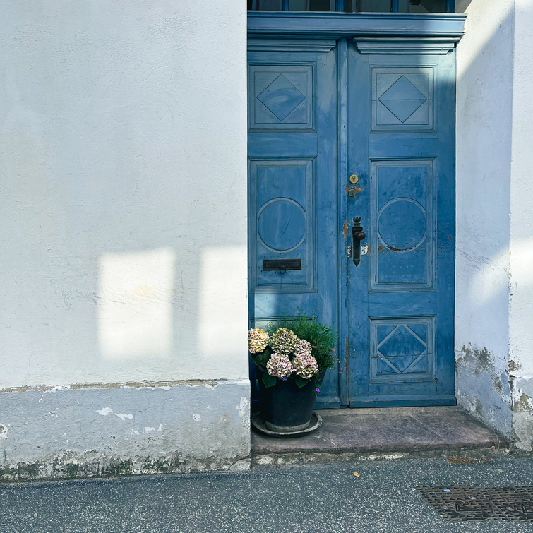 Galeriebild