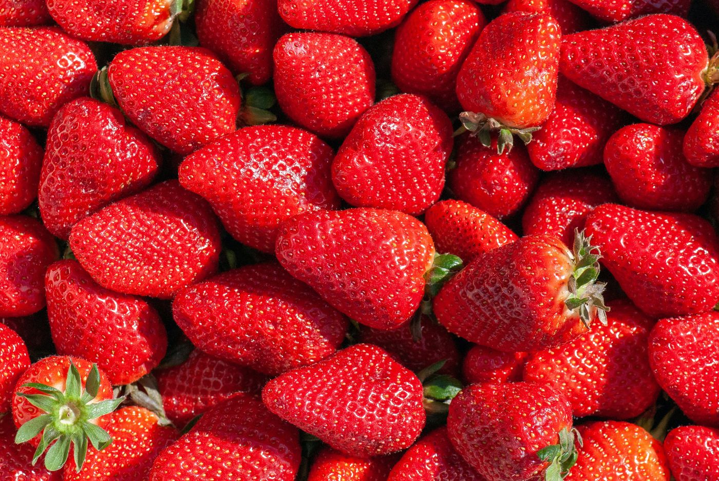 Erdbeeren meiner Kindheit