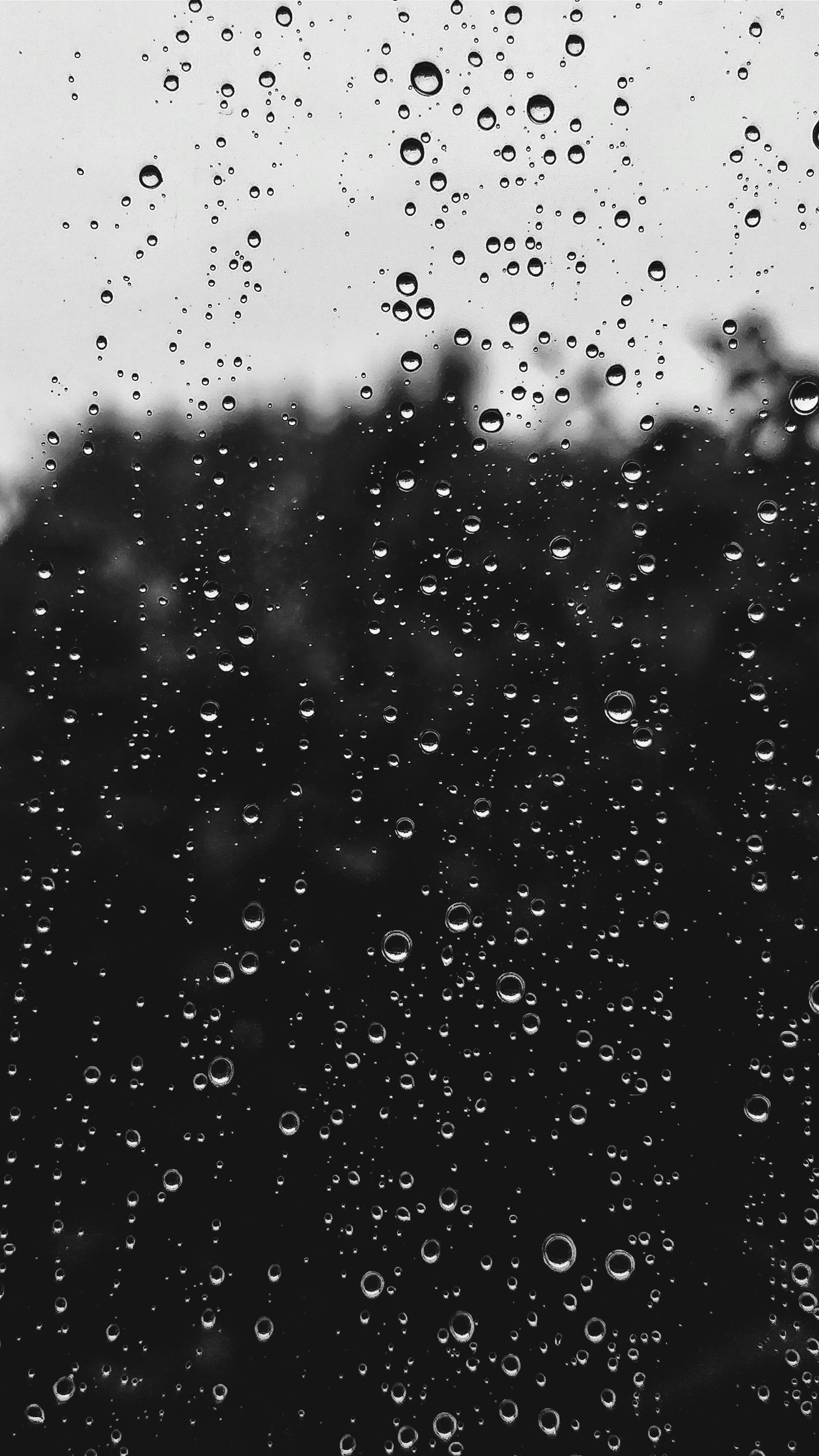 Ein Regentag - wie schön