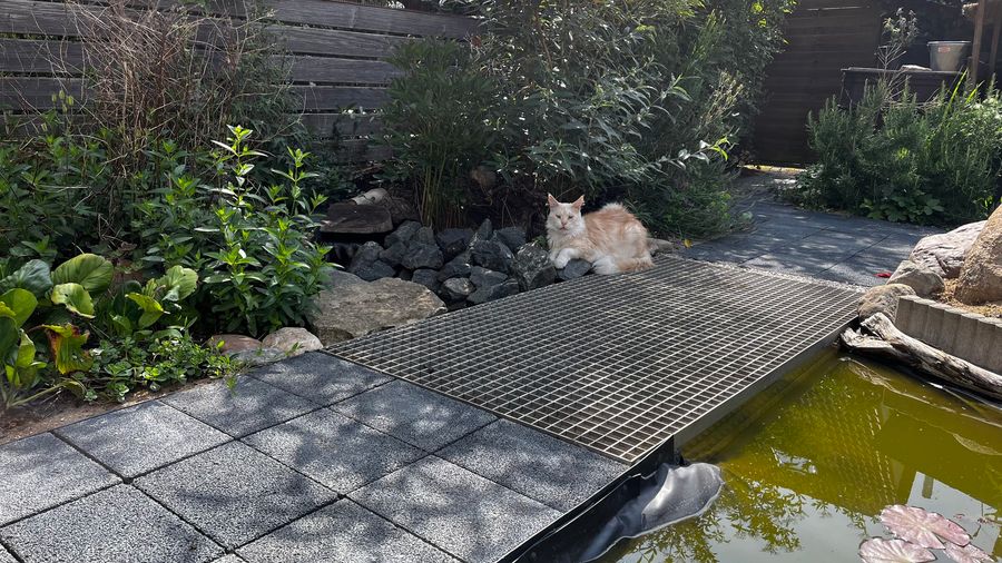 Der Garten ruft und ruft