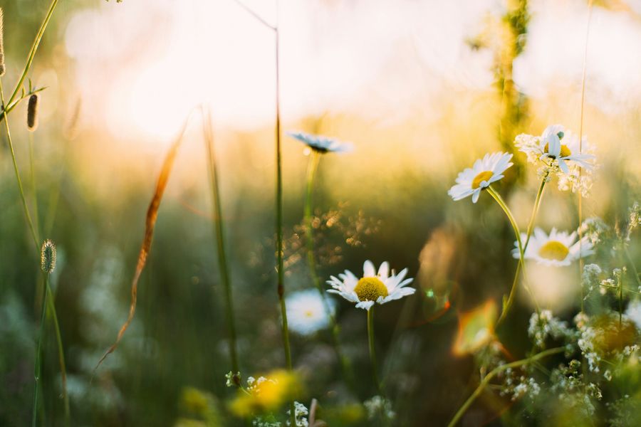 Gartenarbeit am Start